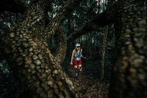 BIB: 
                            <button type="button" onclick="openModal(25679410)" class="btn btn-primary btn-sm float-right btn-popup" data-toggle="modal" data-target=".modal-high-quality">
                        <i class="fas fa-shopping-cart"></i> Add to Cart
                    </button>
                                            <button type="button" onclick="isThisMe(25679410, true)" class="btn btn-success btn-sm float-right btn-popup btn-isme hidden" data-toggle="tooltip" data-placement="bottom" title="นี่คือรูปของคุณใช่ไหม คลิกที่นี่เพื่อเอาเข้าอัลบั้ม">
                        <i class="fas fa-plus"></i> Add to album
                    </button>
                    <button type="button" onclick="isThisMe(25679410, false)" class="btn btn-warning btn-sm float-right btn-popup btn-isnotme hidden">
                        <i class="fas fa-ban"></i> Remove from album
                    </button>